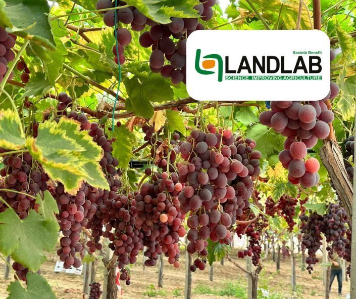 Landlab 食用葡萄园纳米气泡灌溉