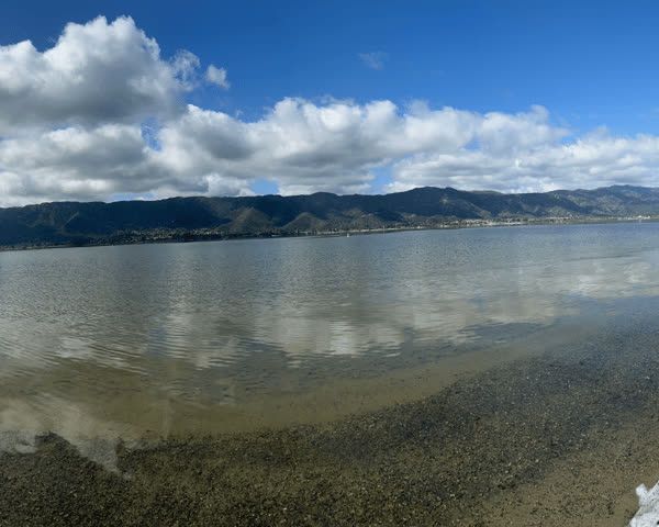 厌氧消化与沼气增产场景（Moleaer）