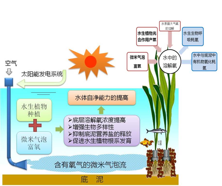 水体修复示意
