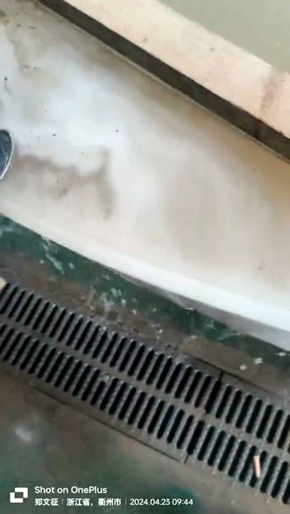 纳米气泡油水分离实拍