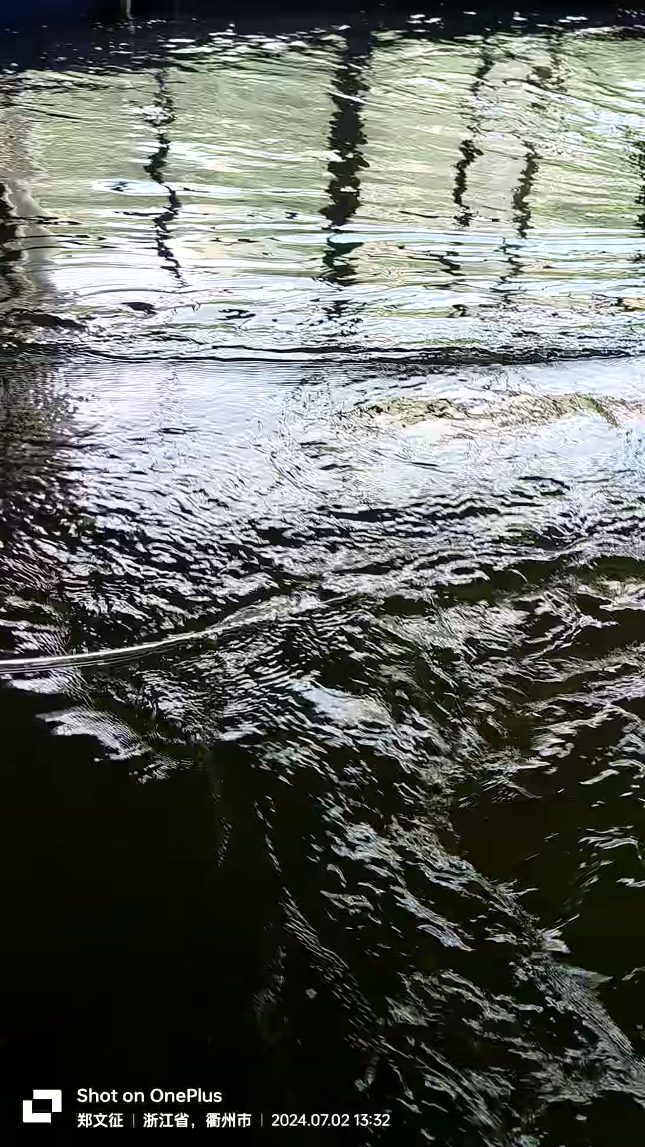 实拍视频封面