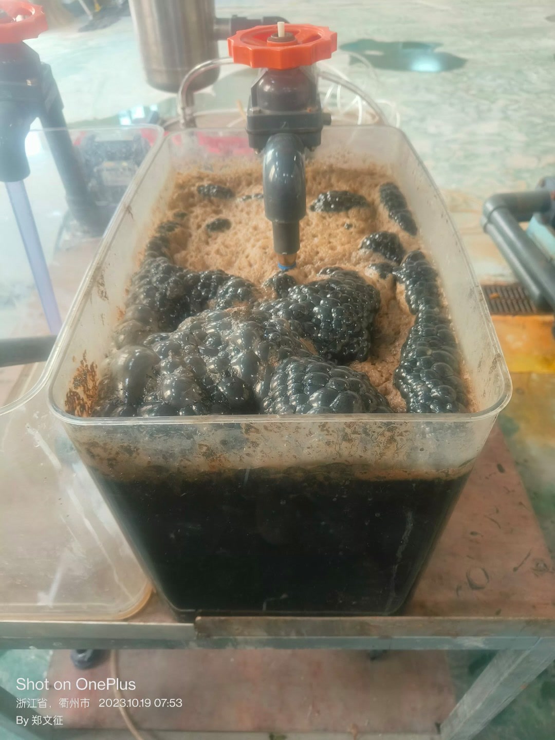 Day 1 早上 7:53 处理开始