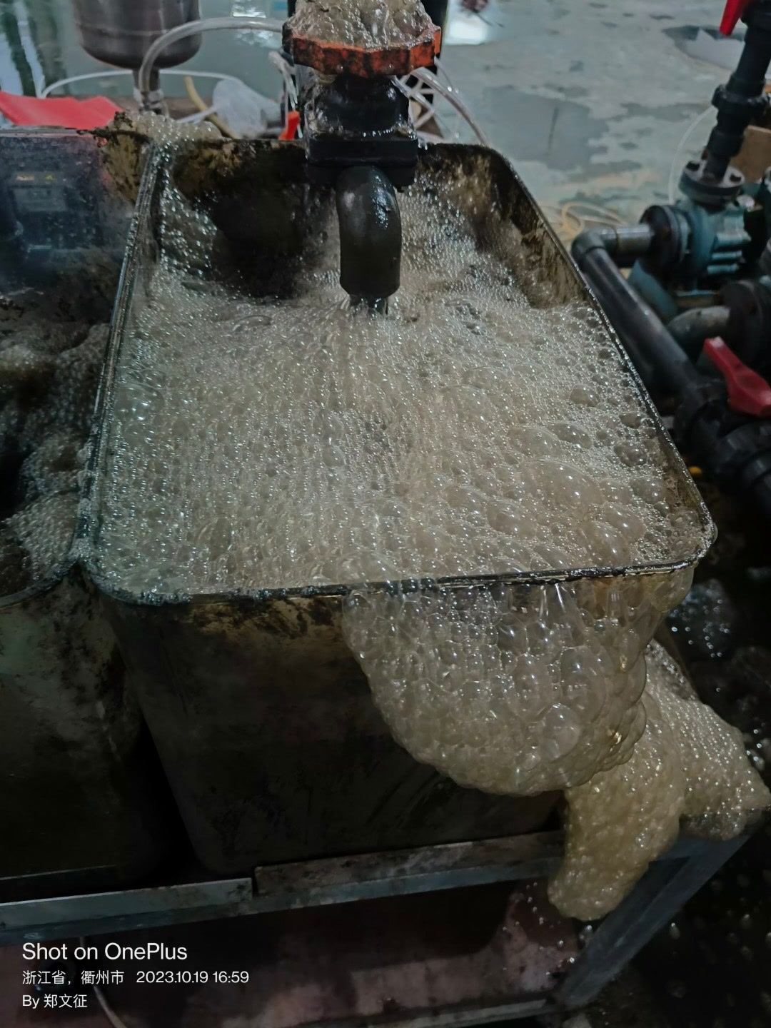 Day 1 下午 16:59 8小时后细密泡沫